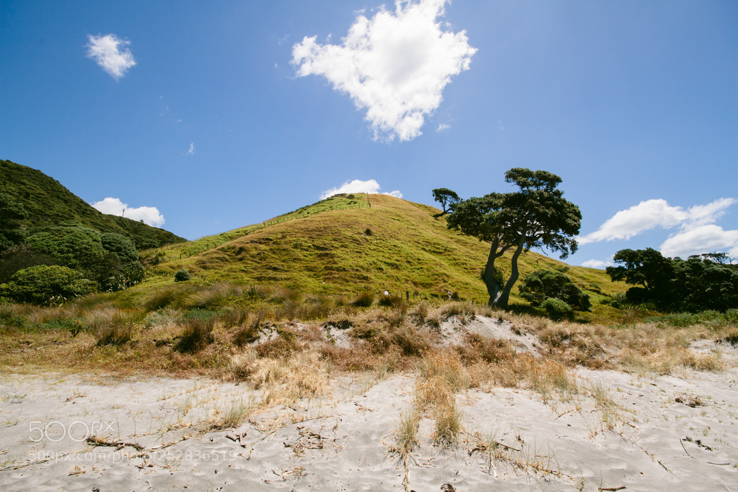 Canon EOS 7D sample photo. Mangawhai photography