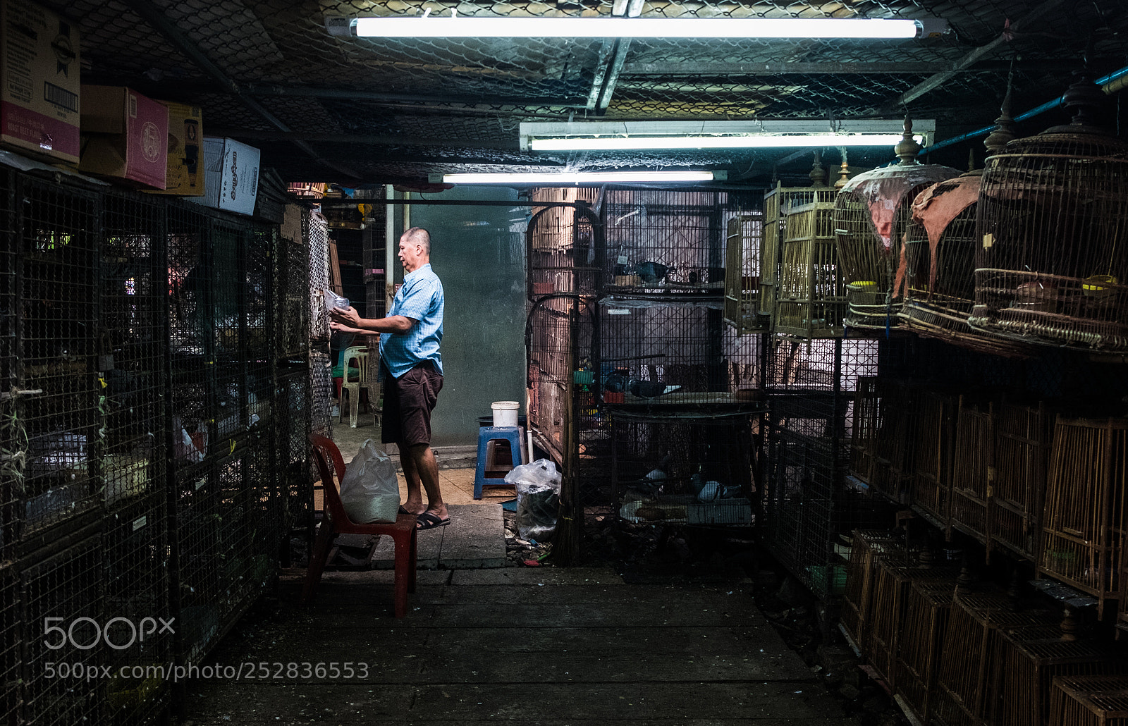 Fujifilm X-T2 sample photo. Chatuchak market, thailand photography