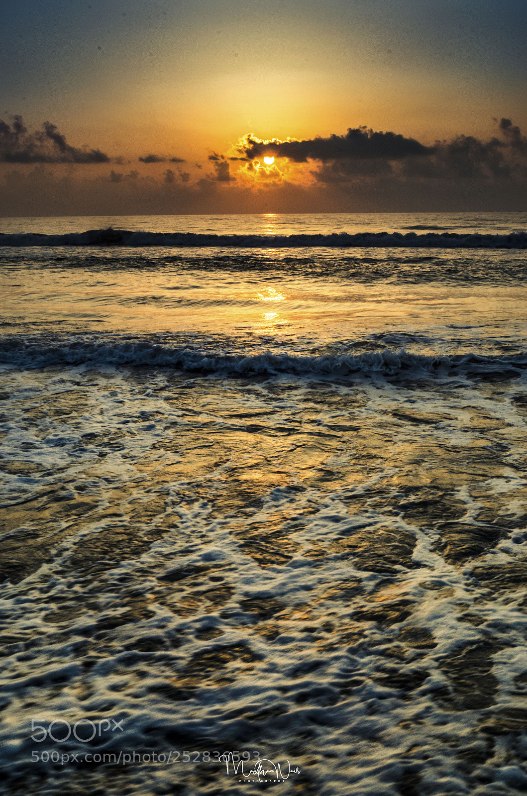Nikon D5100 sample photo. Gloden sun rise photography