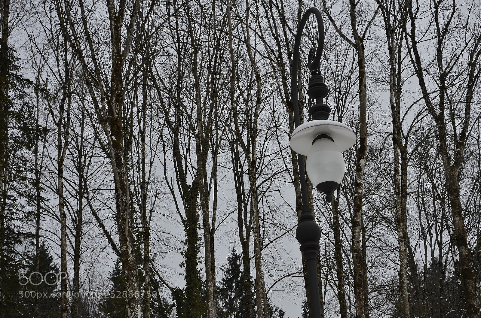 Nikon D7000 sample photo. Img photography