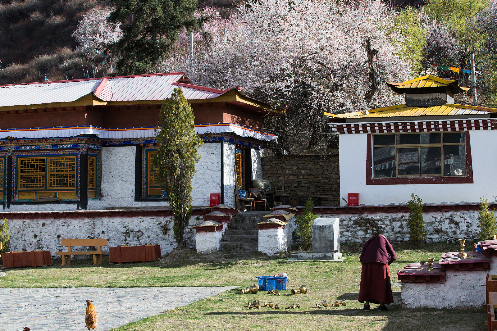 Canon EOS-1D X sample photo. 羌纳寺的春天 photography