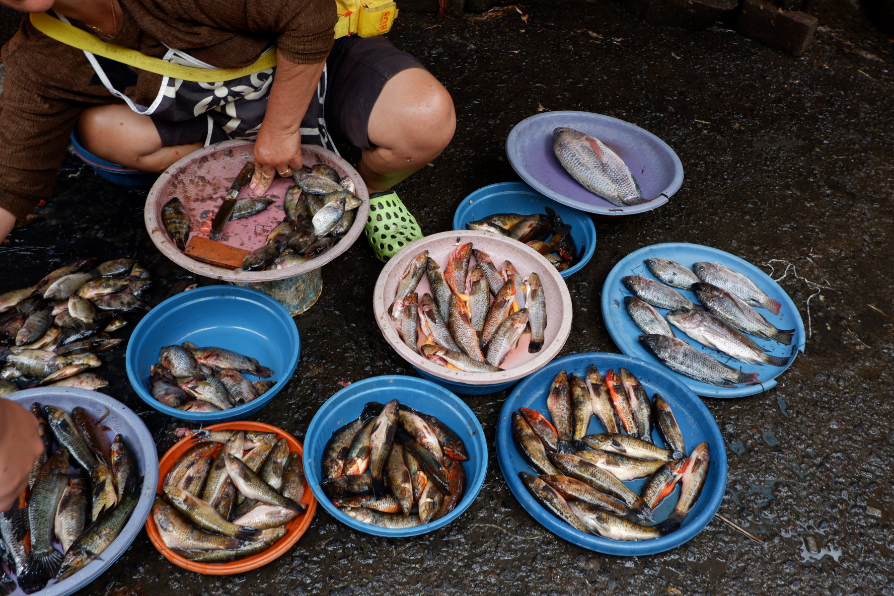 Fujifilm X-A5 sample photo. Extreme martket in manado photography