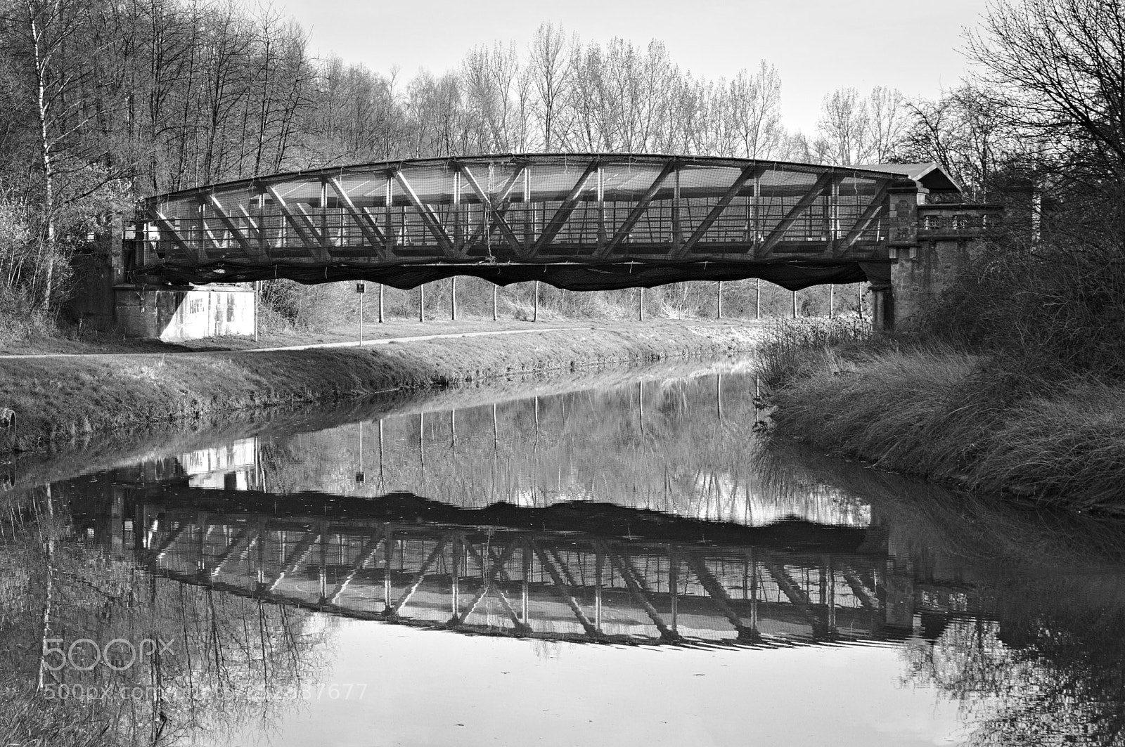 Nikon D3200 sample photo. Bridge photography