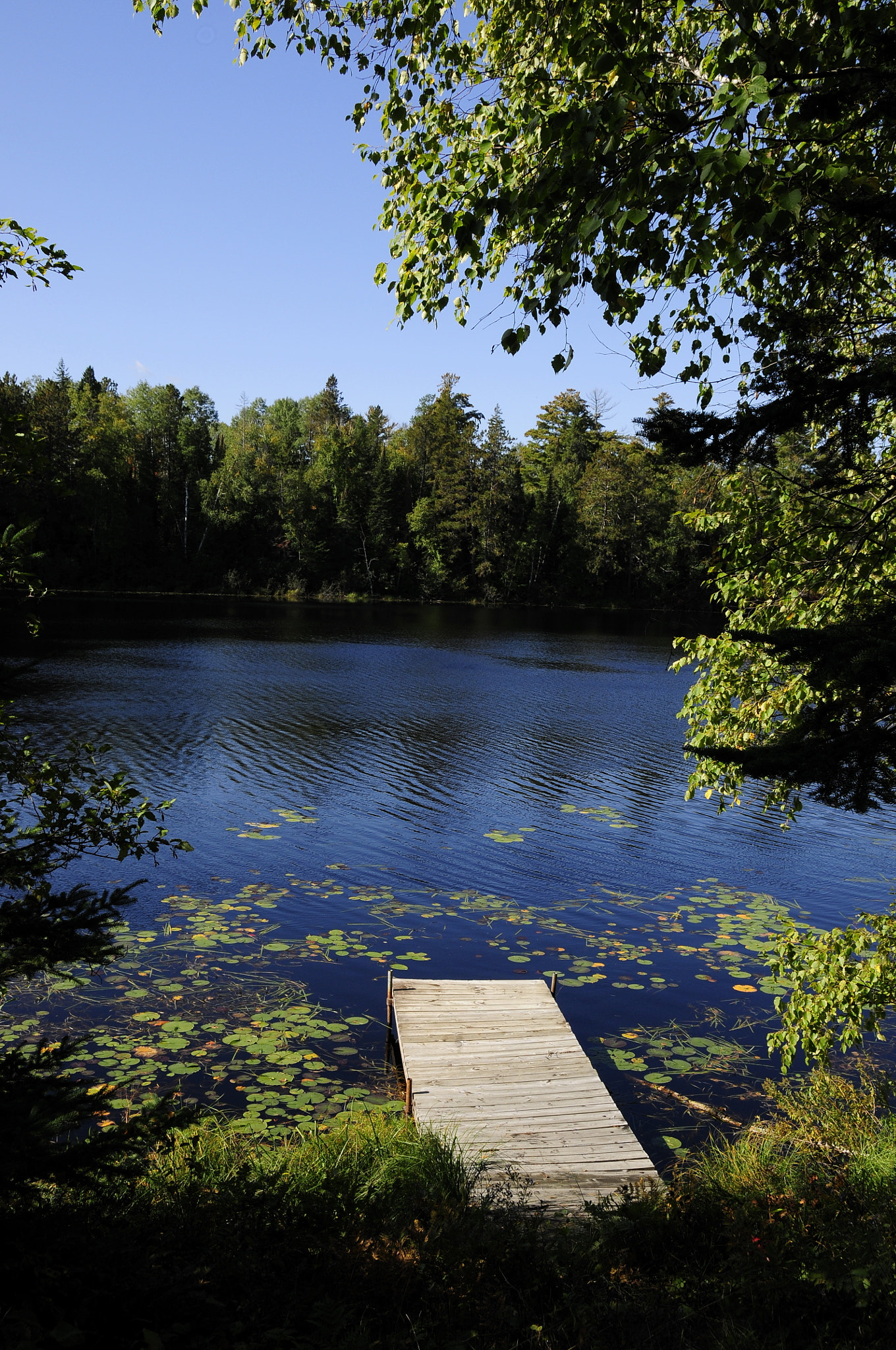 Nikon D300 sample photo. The dock e lago photography