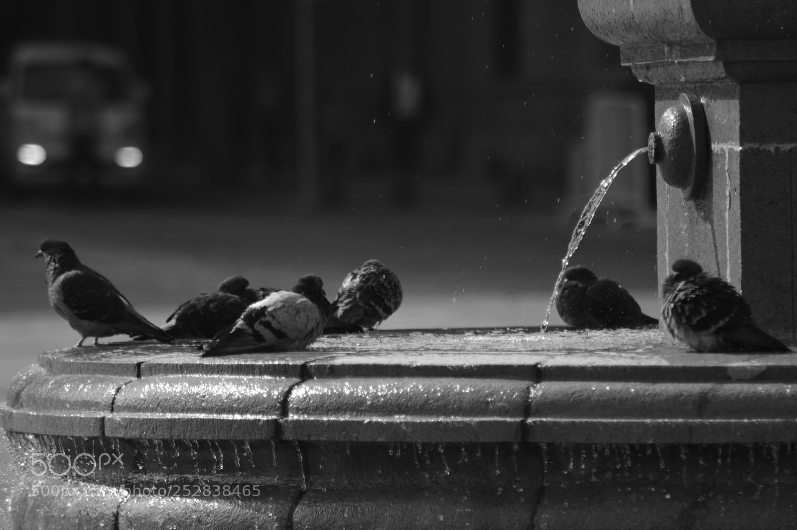 Nikon D3200 sample photo. Se estan bañanado photography