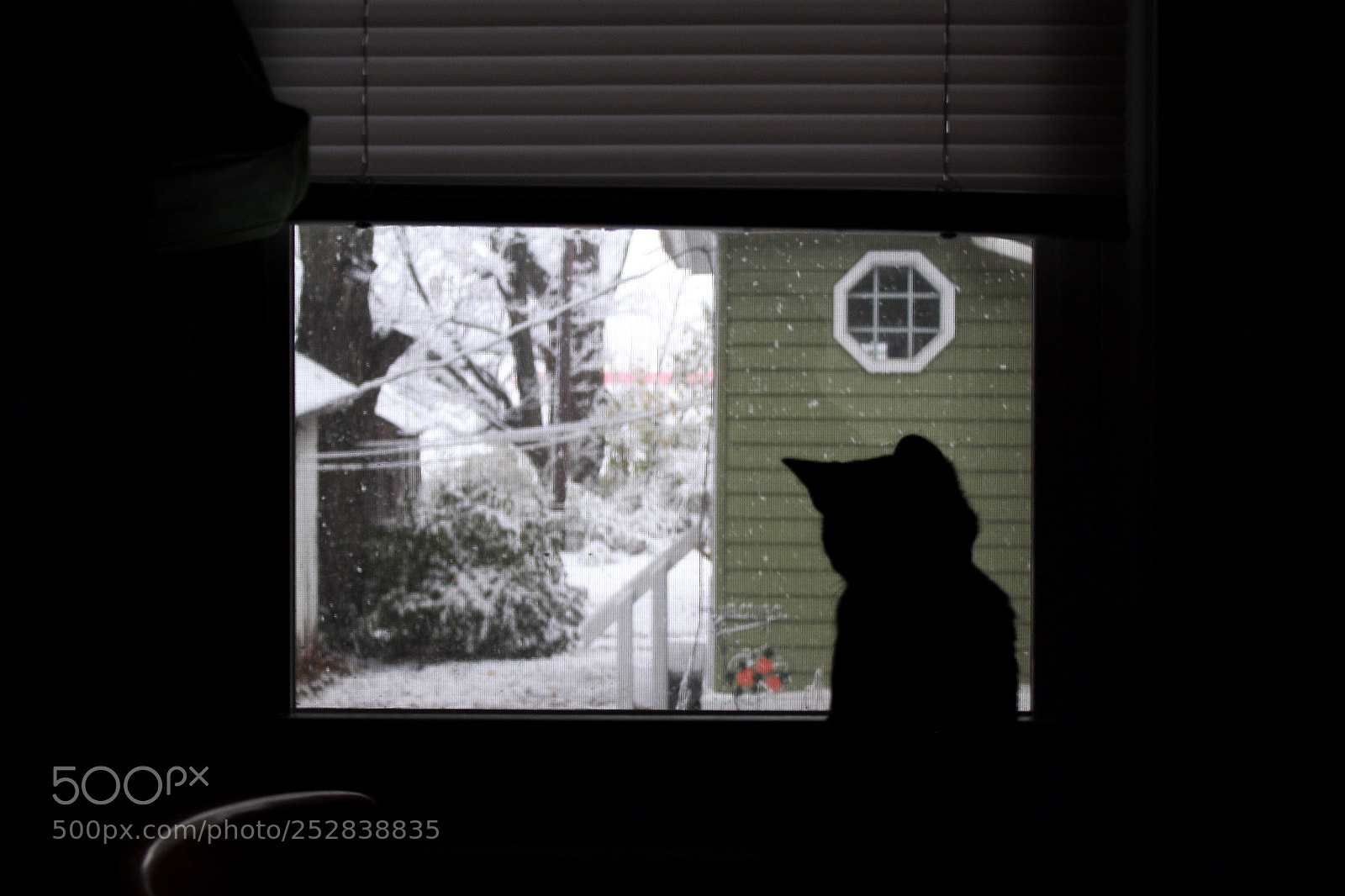 Canon EOS 600D (Rebel EOS T3i / EOS Kiss X5) sample photo. Max’s first snow photography