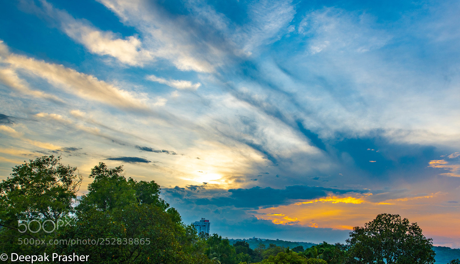 Nikon D850 sample photo. Painting the sky photography