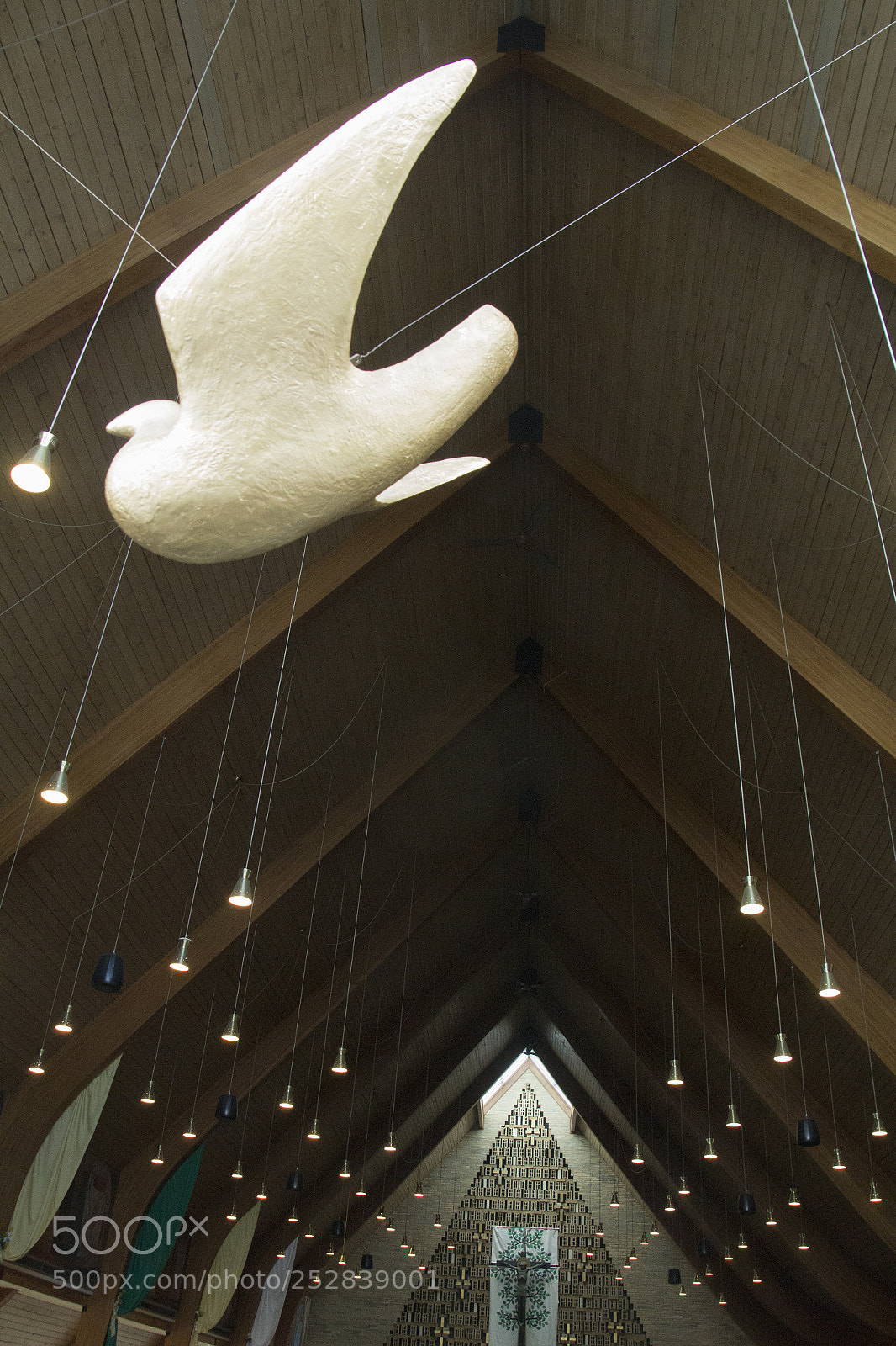 Canon EOS 1200D (EOS Rebel T5 / EOS Kiss X70 / EOS Hi) sample photo. Roman catholic eagle in photography