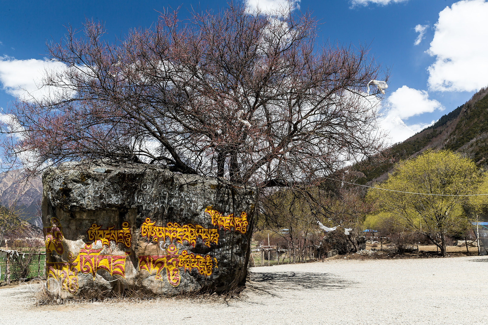 Canon EOS-1D X sample photo. 绝地求生 photography