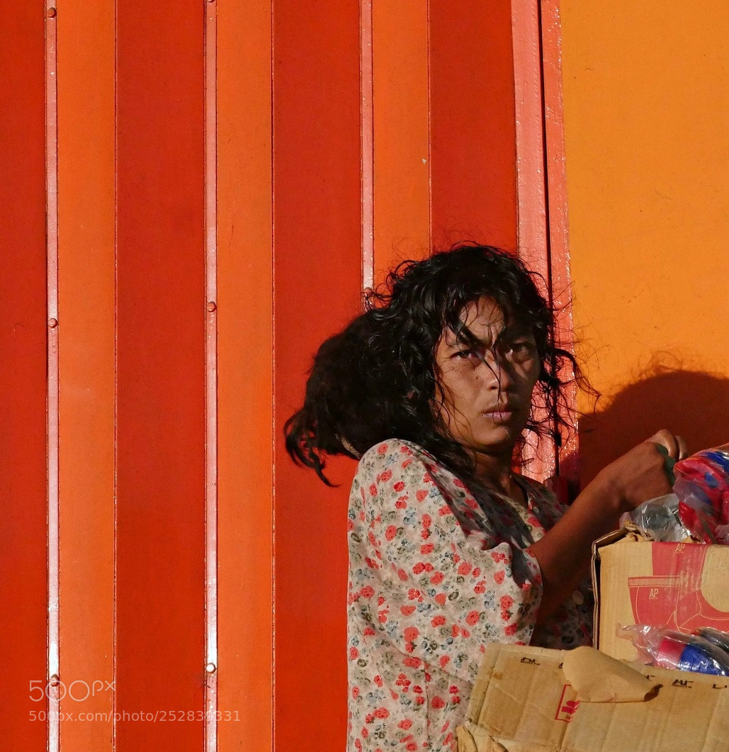Panasonic Lumix DMC-GH4 sample photo. Wild one photography