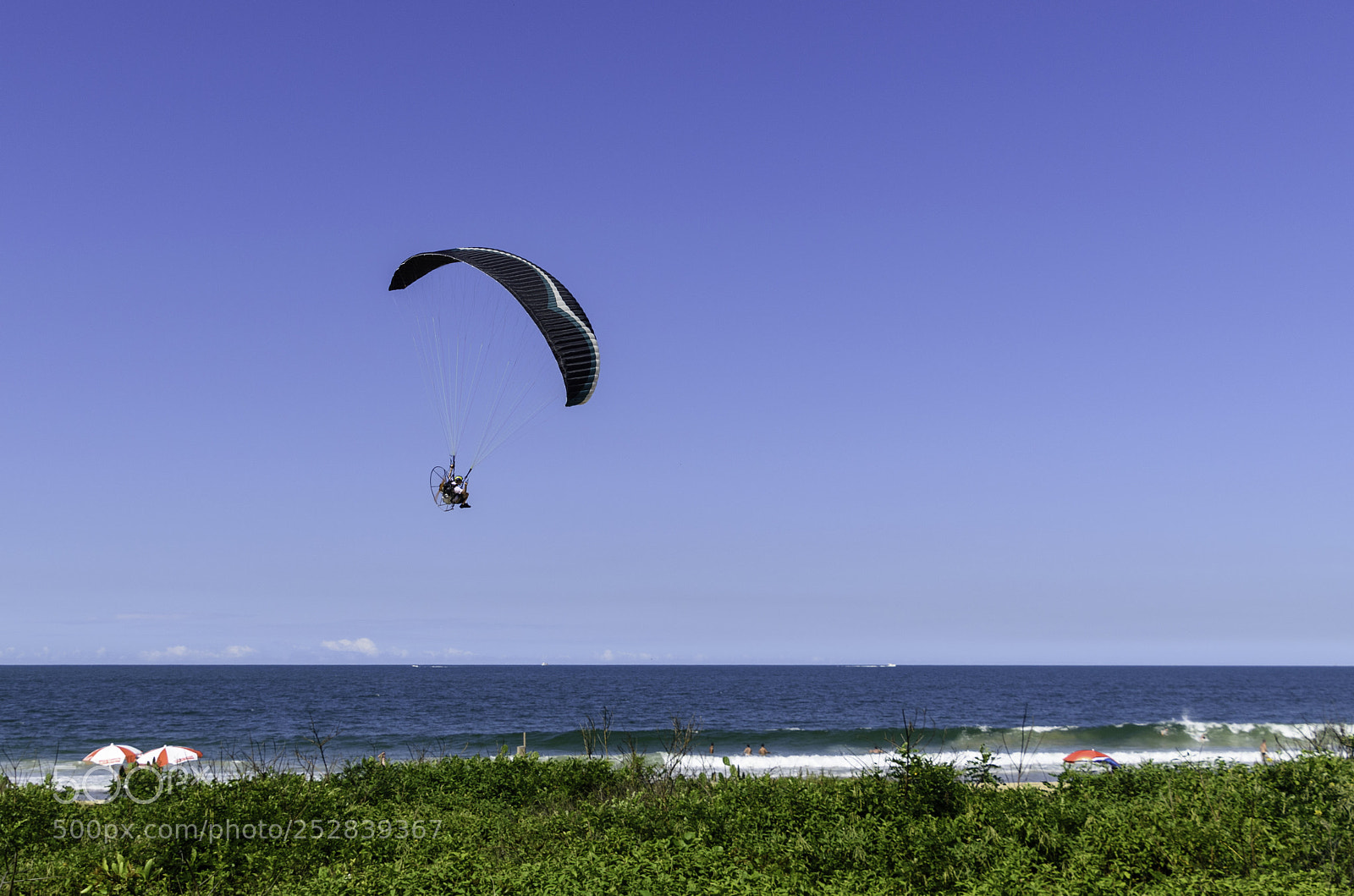 Nikon D5600 sample photo. Paraglide flies close to photography