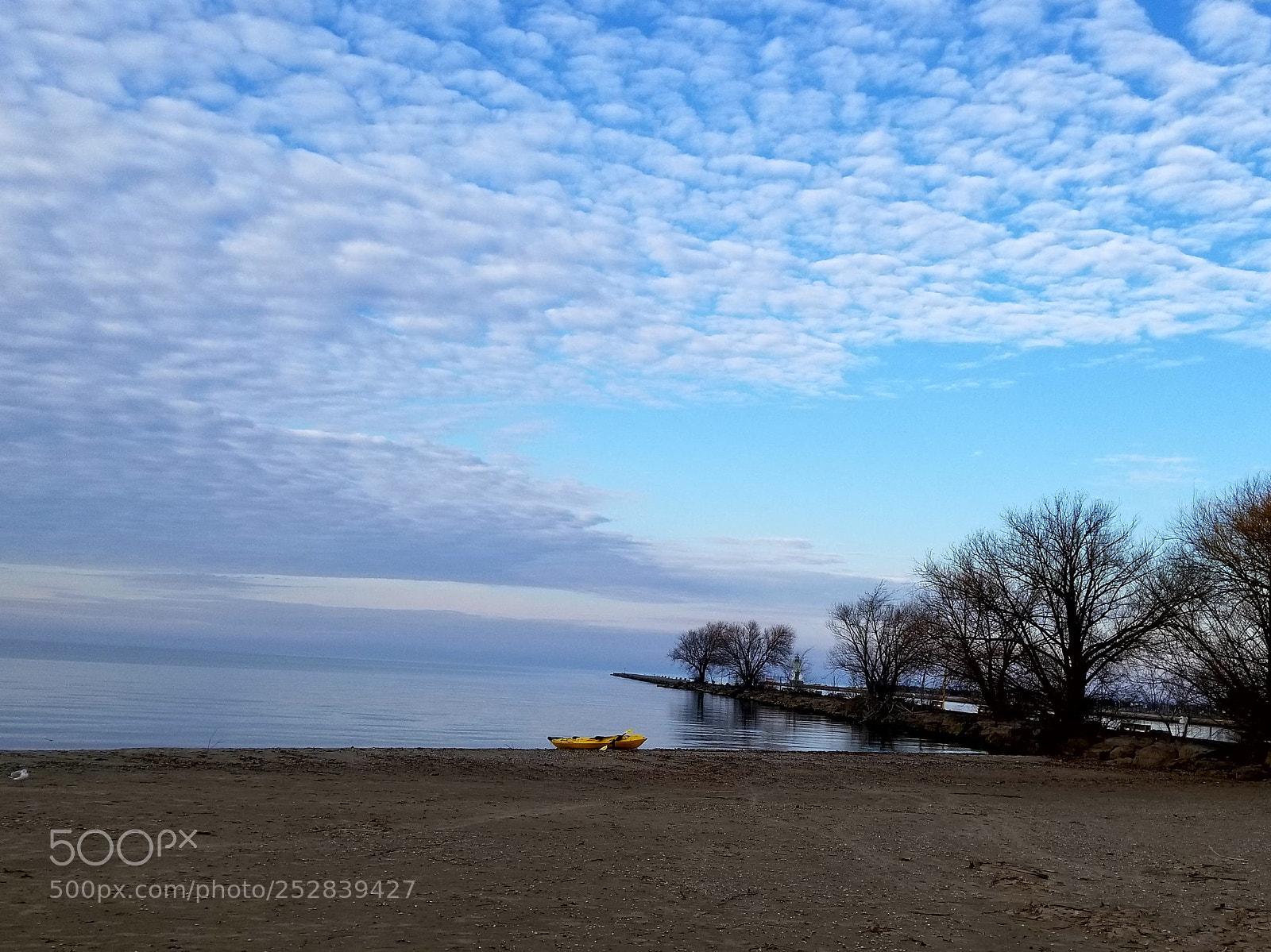 Samsung Galaxy S8 sample photo. Port photography
