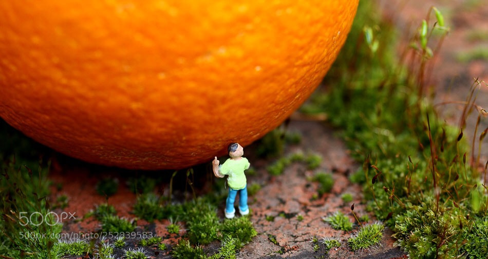 Canon EOS 50D sample photo. Orange photography