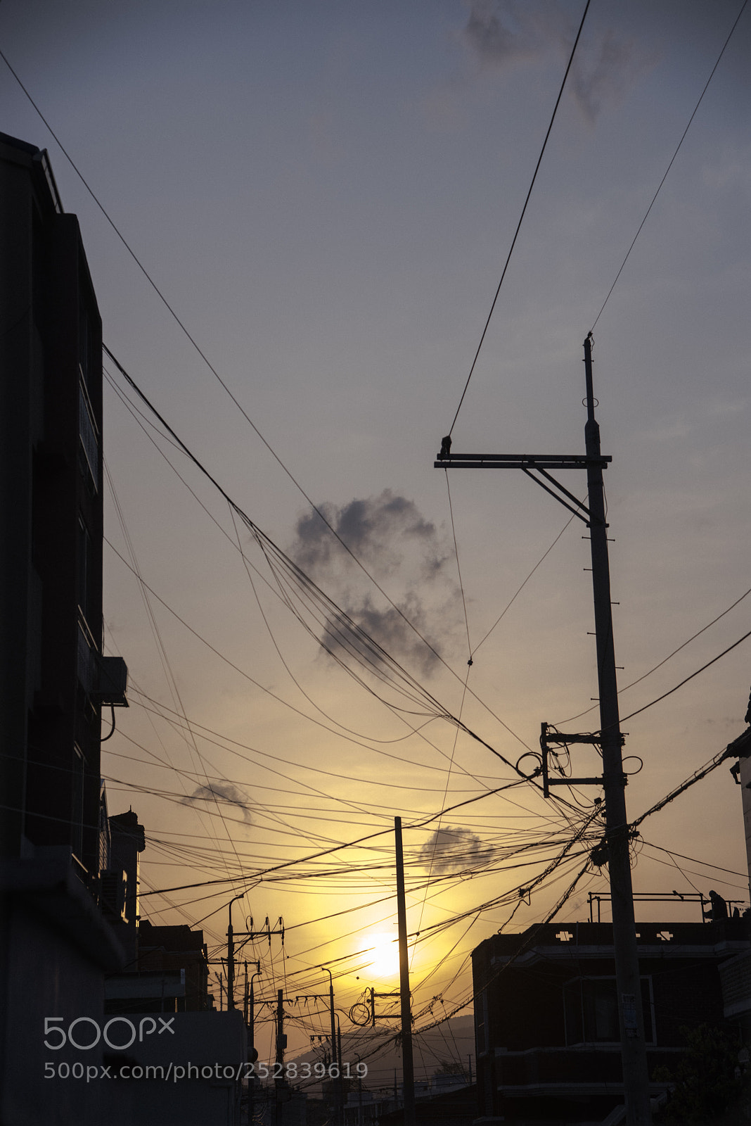 Nikon D810 sample photo. Going home photography