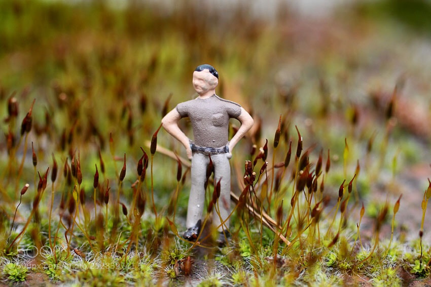 Canon EOS 50D sample photo. Overgrown photography