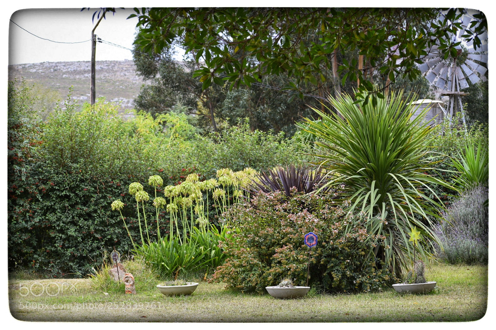 Nikon D5300 sample photo. Lugar de descanso. photography