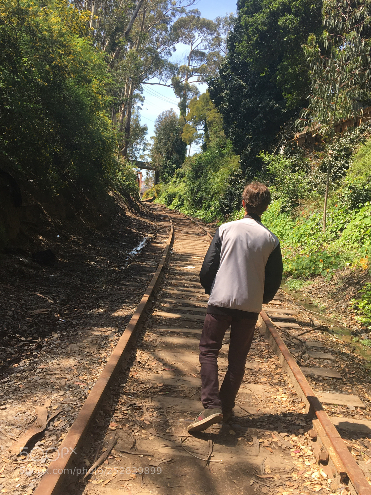 Apple iPhone 6s sample photo. Railroad  photography