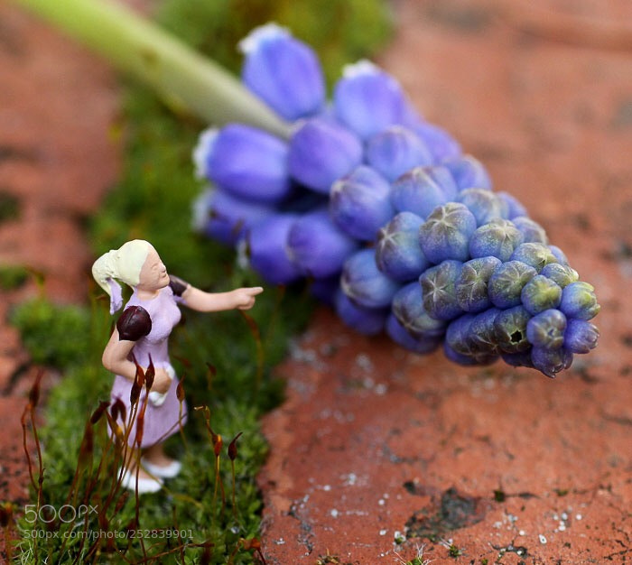 Canon EOS 50D sample photo. Wat is dat photography