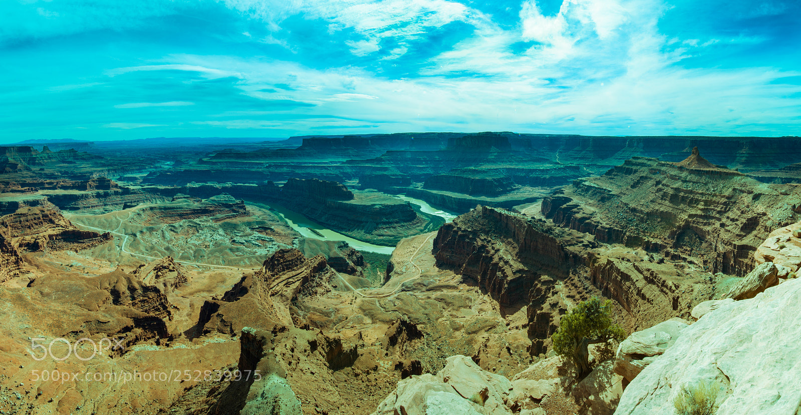 Nikon D300S sample photo. Dead horse canyon photography