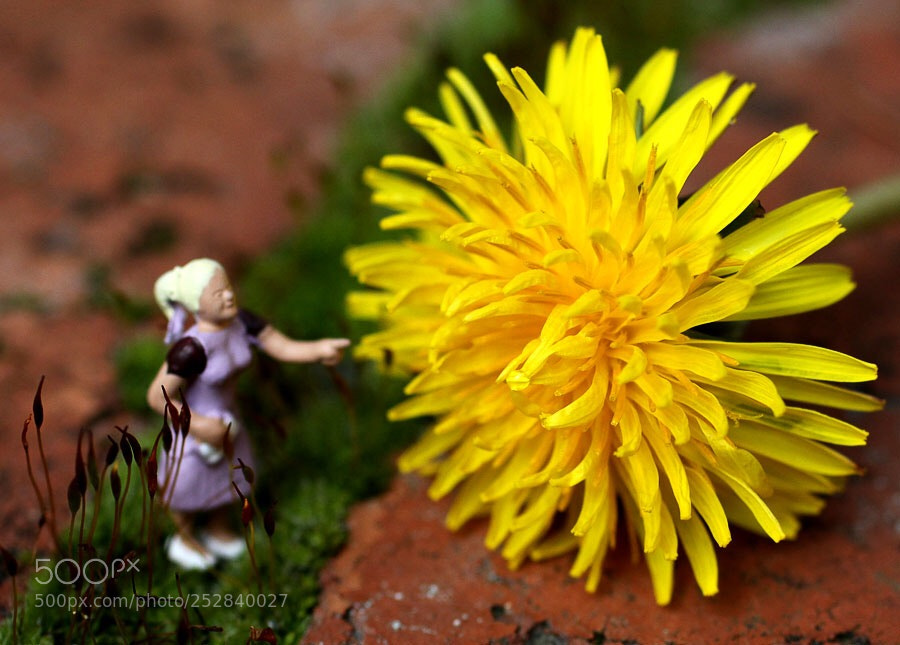 Canon EOS 50D sample photo. Hah  photography