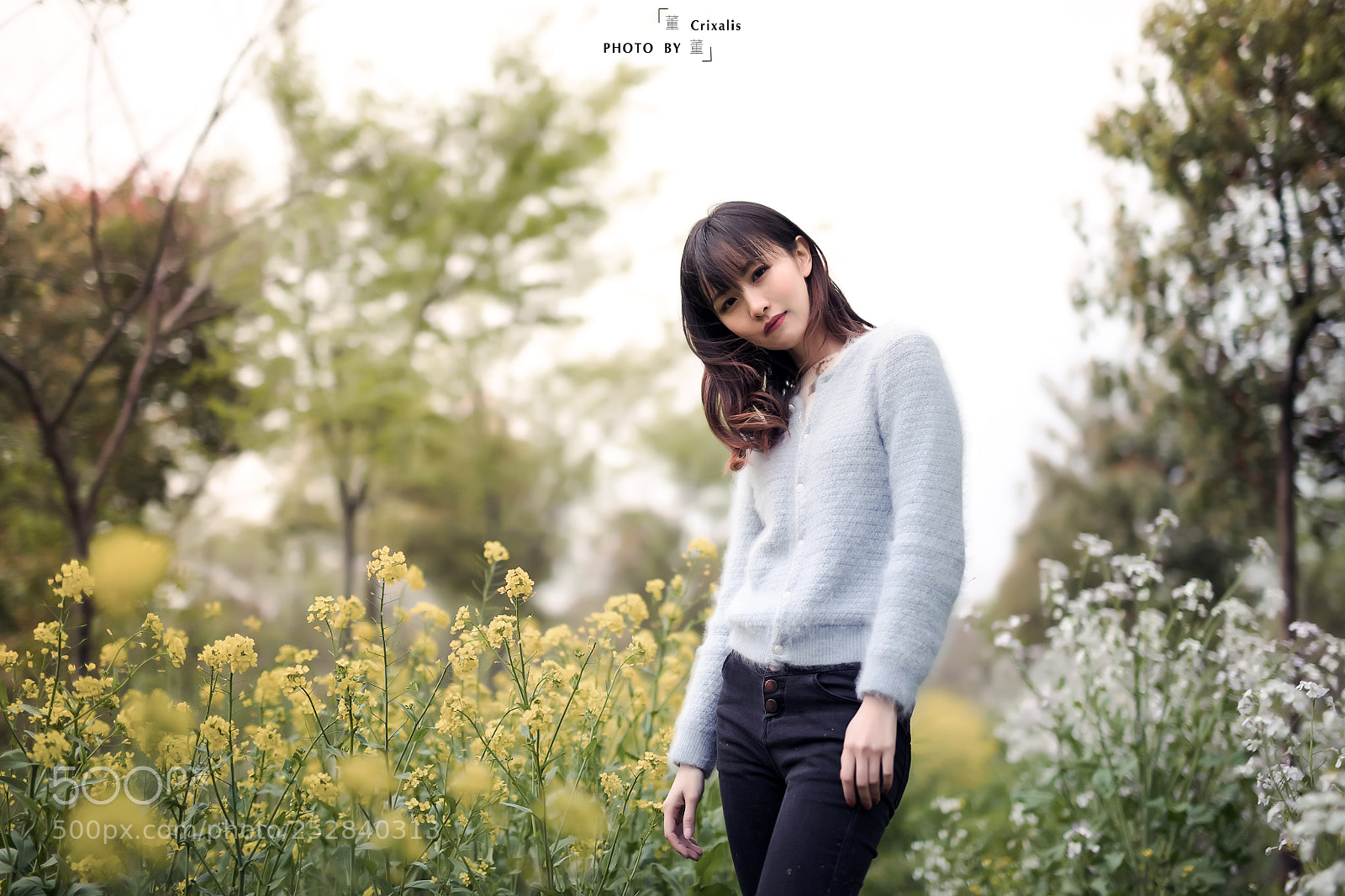 Canon EOS 5DS sample photo. Untitled photography