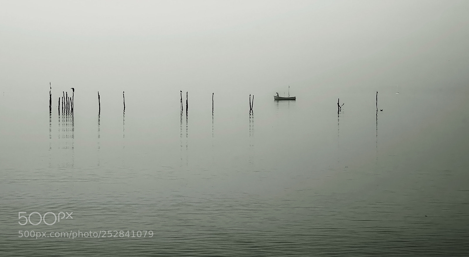 Nikon D70s sample photo. The fisherman photography