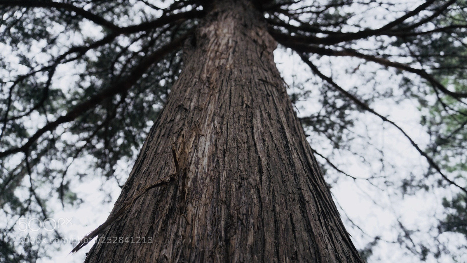 Sony a6300 sample photo. Bbac dbe bacff photography