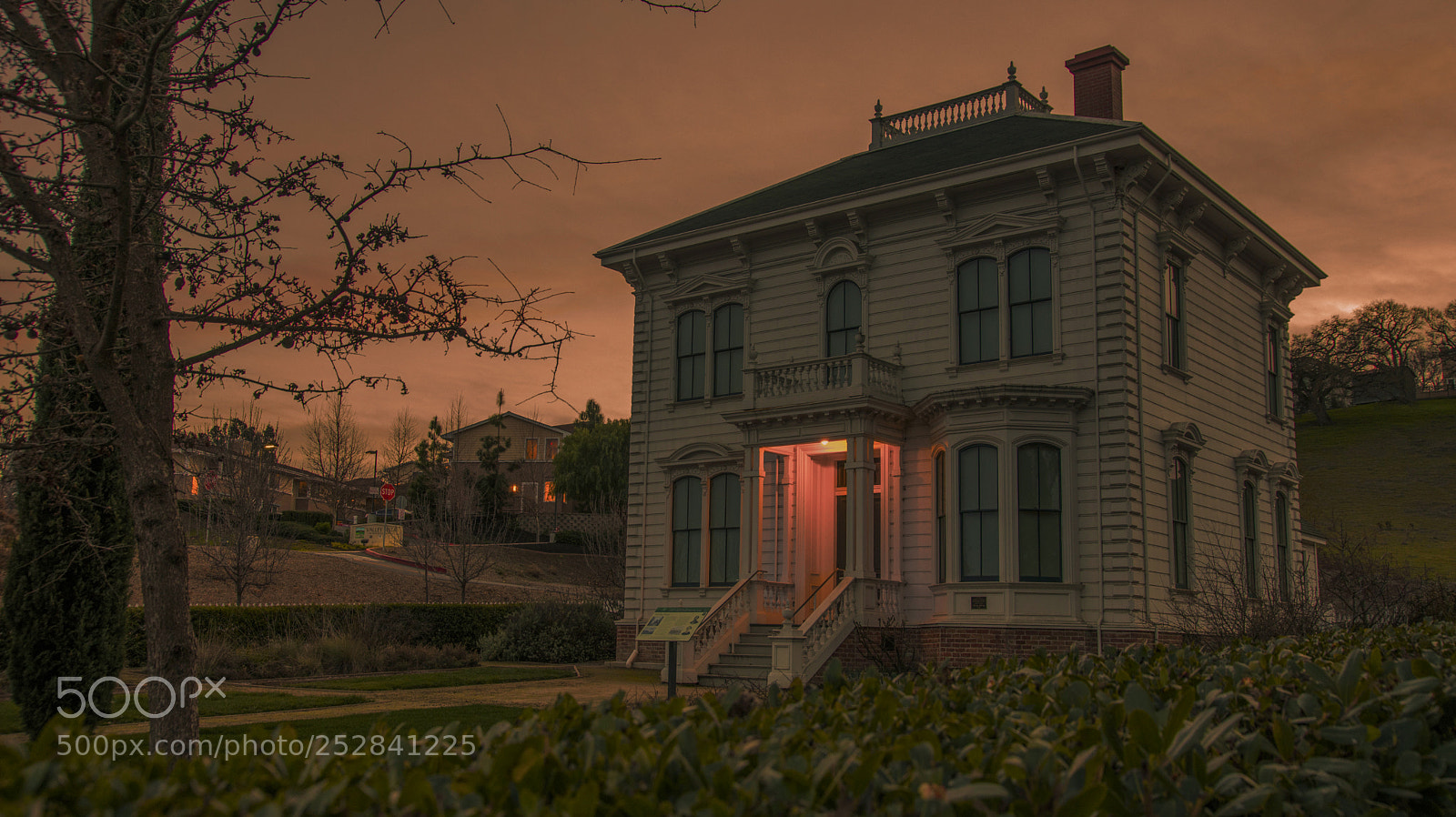 Canon EOS 6D Mark II sample photo. Knock knock... who's there? photography