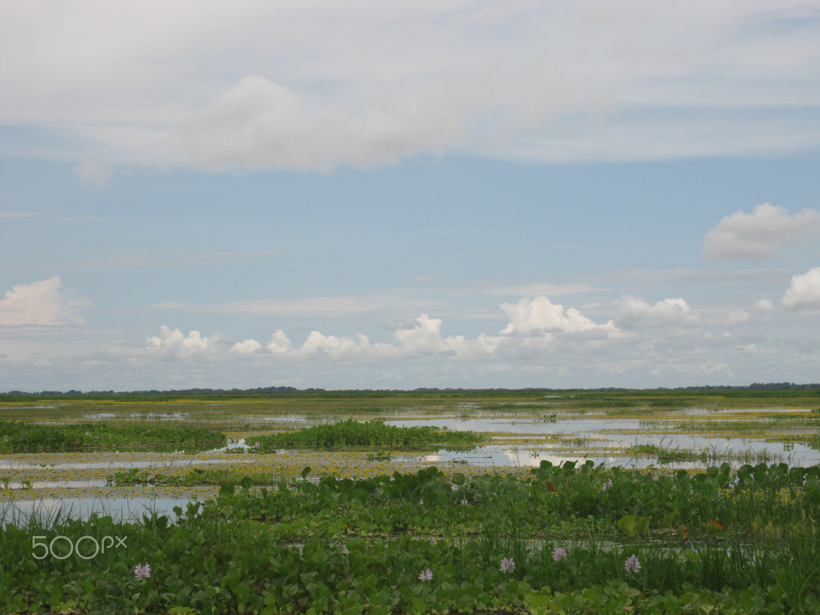 Canon PowerShot A3100 IS sample photo. Ciénaga de ayapel photography