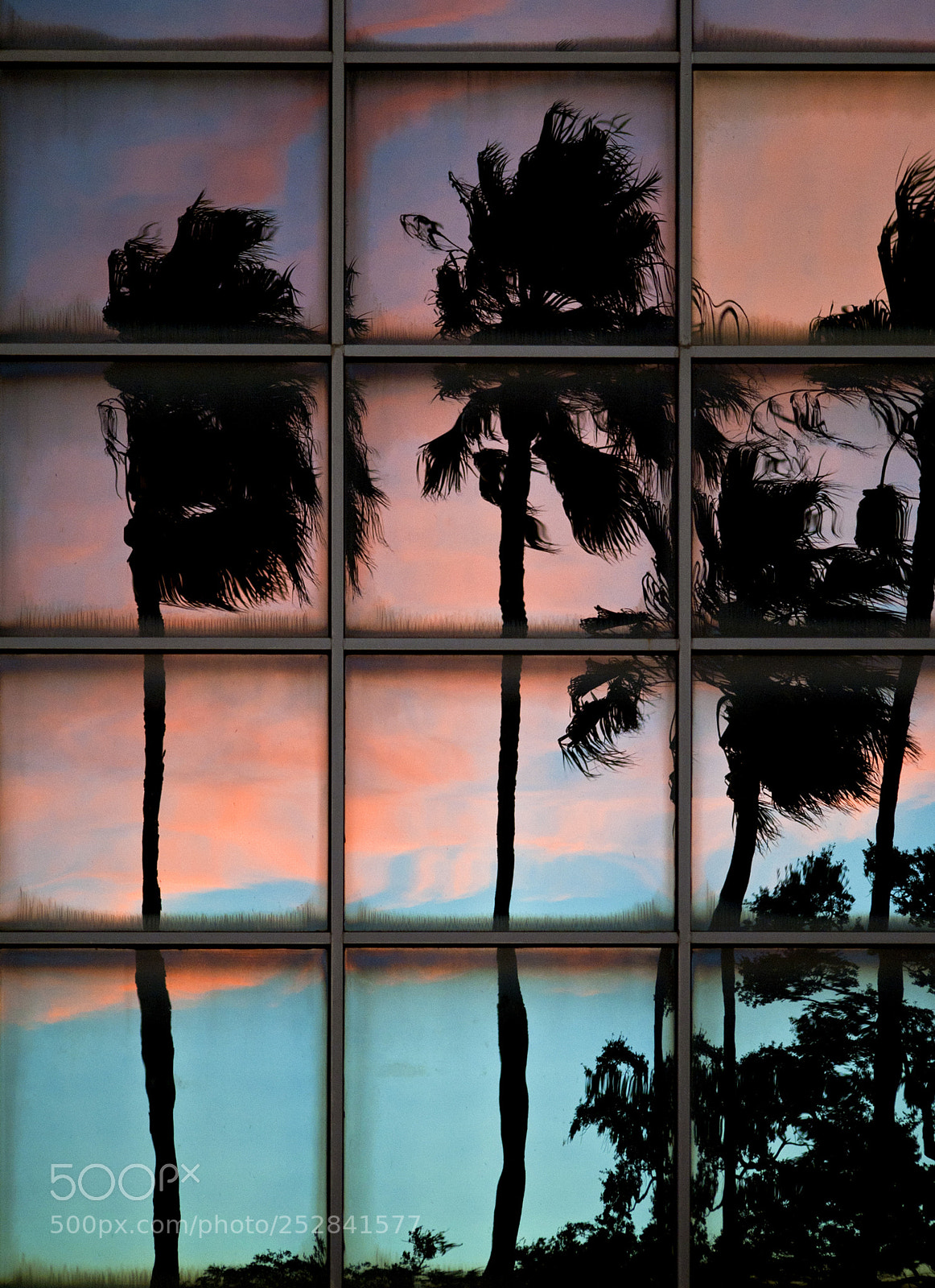 Nikon D700 sample photo. Dunedin reflection photography