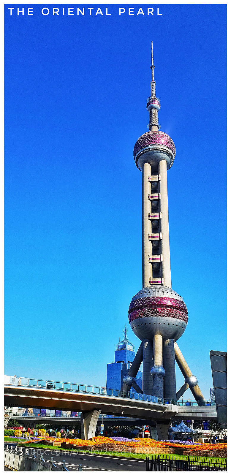 Samsung Galaxy S9+ sample photo. The oriental pearl photography