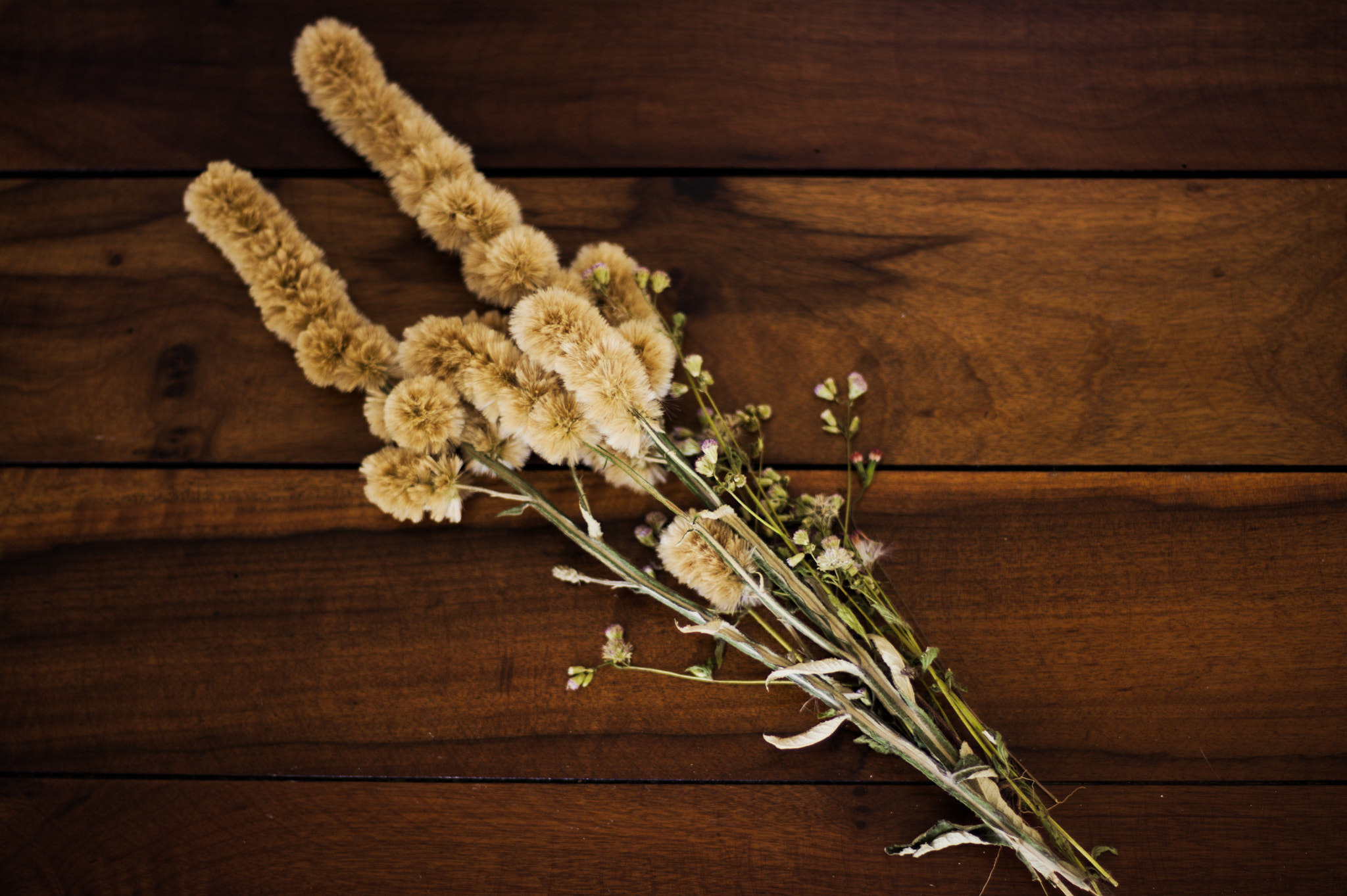 Nikon D7100 + Nikon AF Nikkor 50mm F1.4D sample photo. Dry lavender bouquet photography