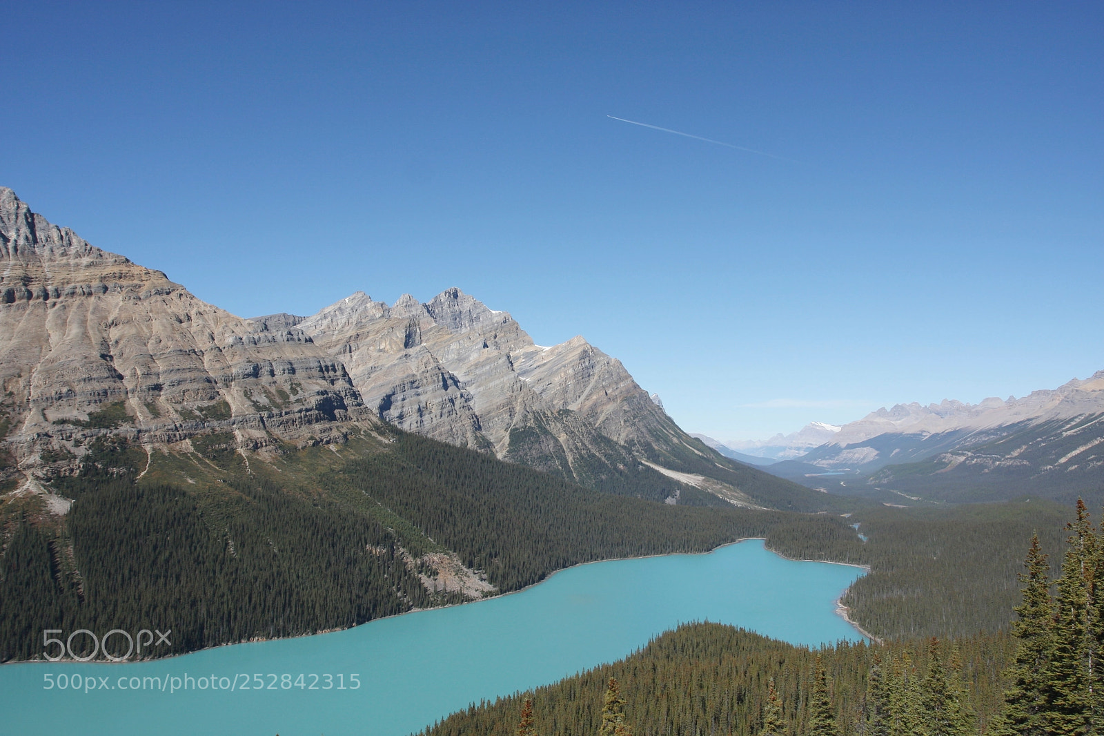 Canon EOS 40D sample photo. Peyto lake photography