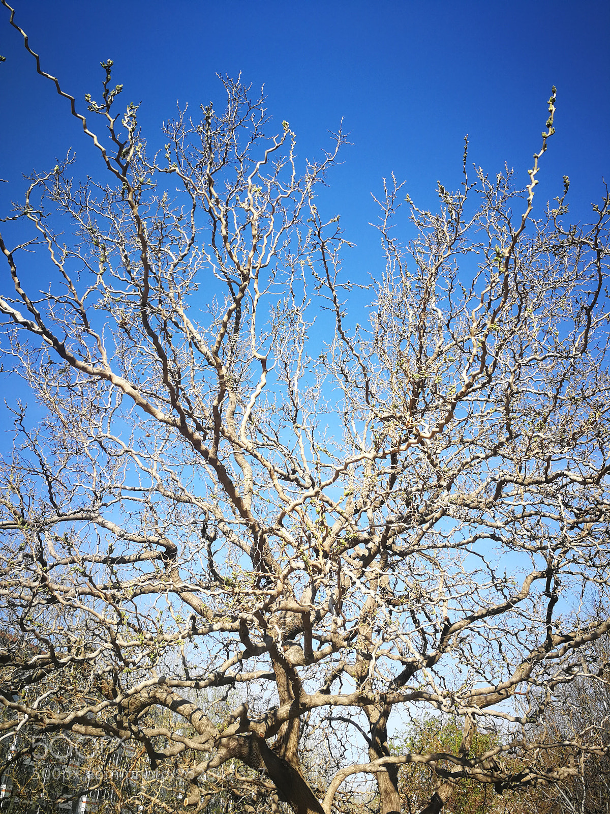 HUAWEI P10 sample photo. Untitled photography