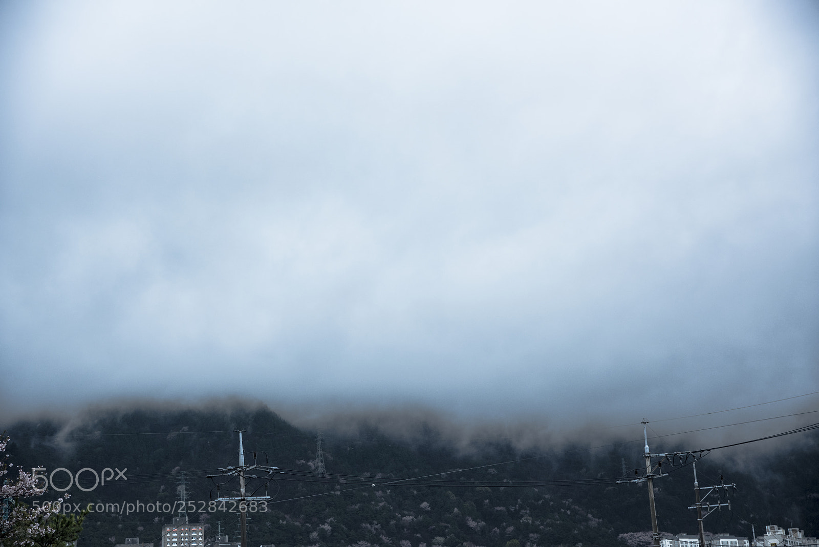 Nikon D810 sample photo. The rain has let photography