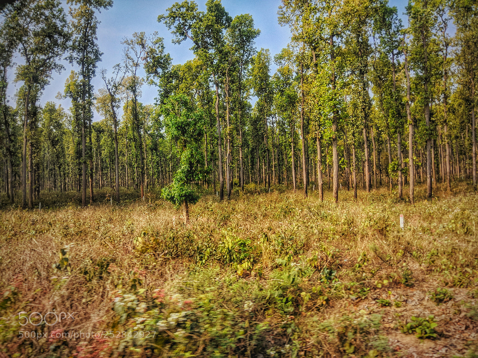 Xiaomi Redmi Note 4 sample photo. Untitled photography