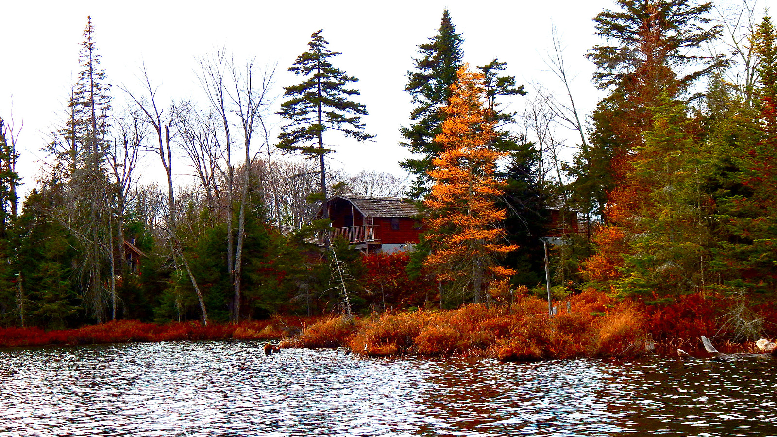 Nikon Coolpix L830 sample photo. Old forge lake just photography