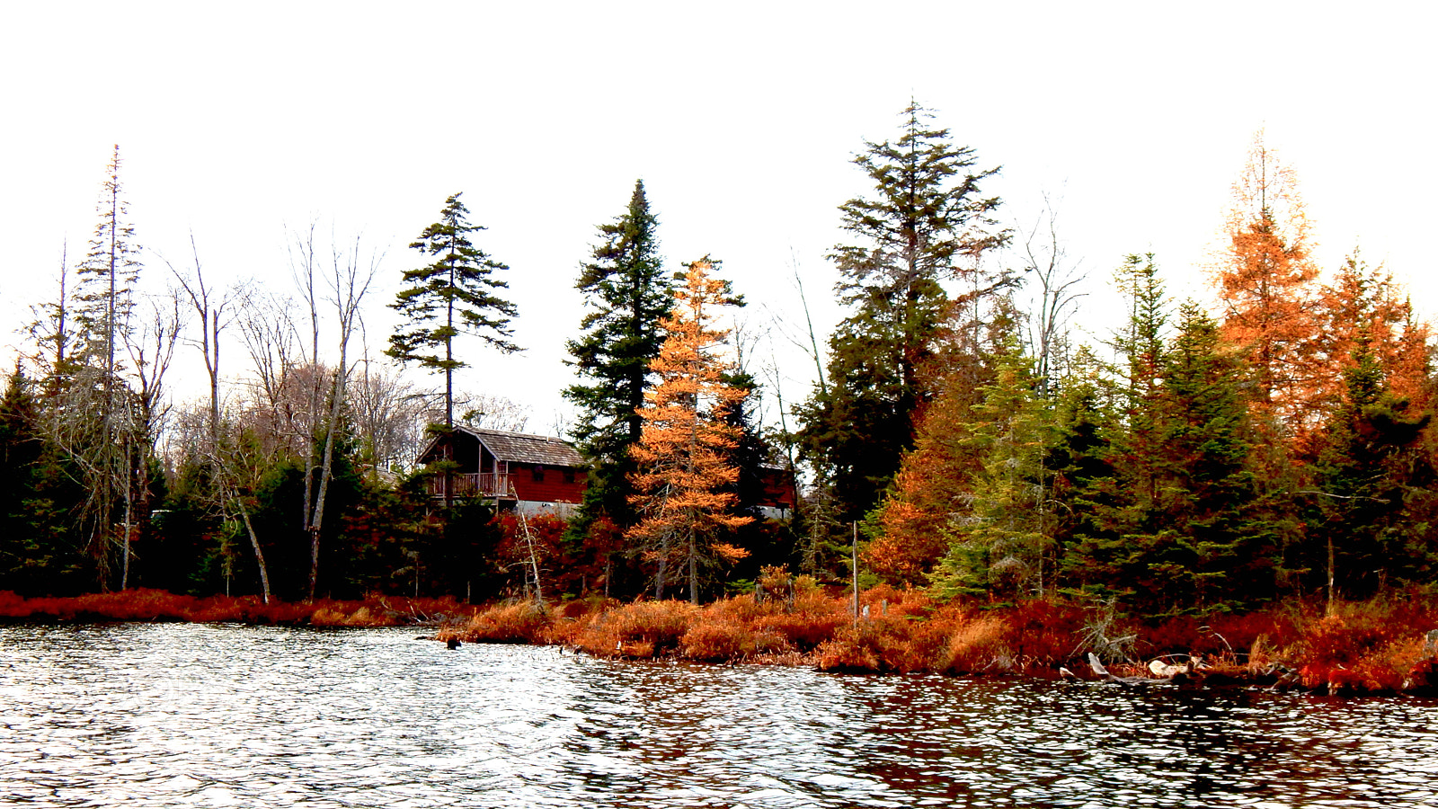 Nikon Coolpix L830 sample photo. Old forge lake just photography