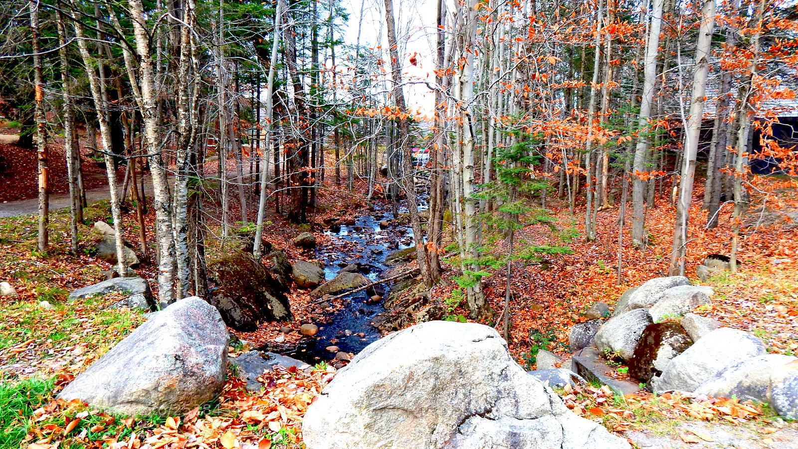 Nikon Coolpix L830 sample photo. Old forge lake just photography