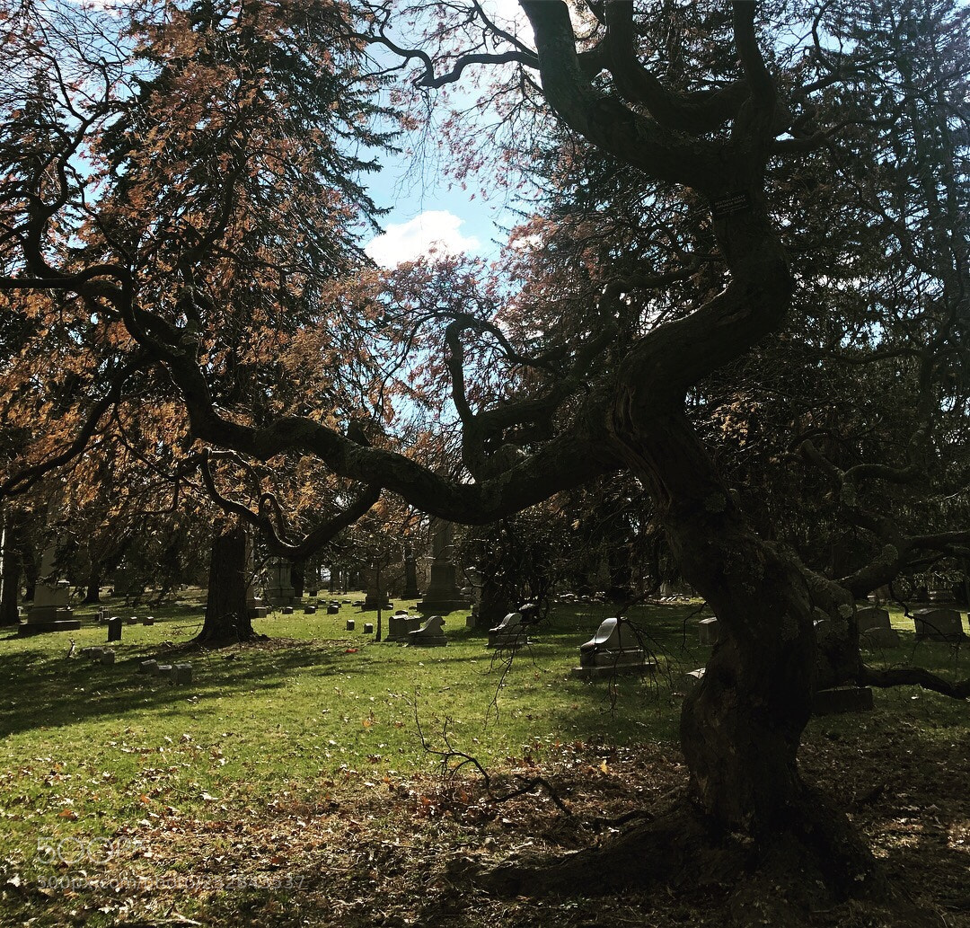 Apple iPhone 8 Plus sample photo. Cedar hill cemetery-hartford, ct photography