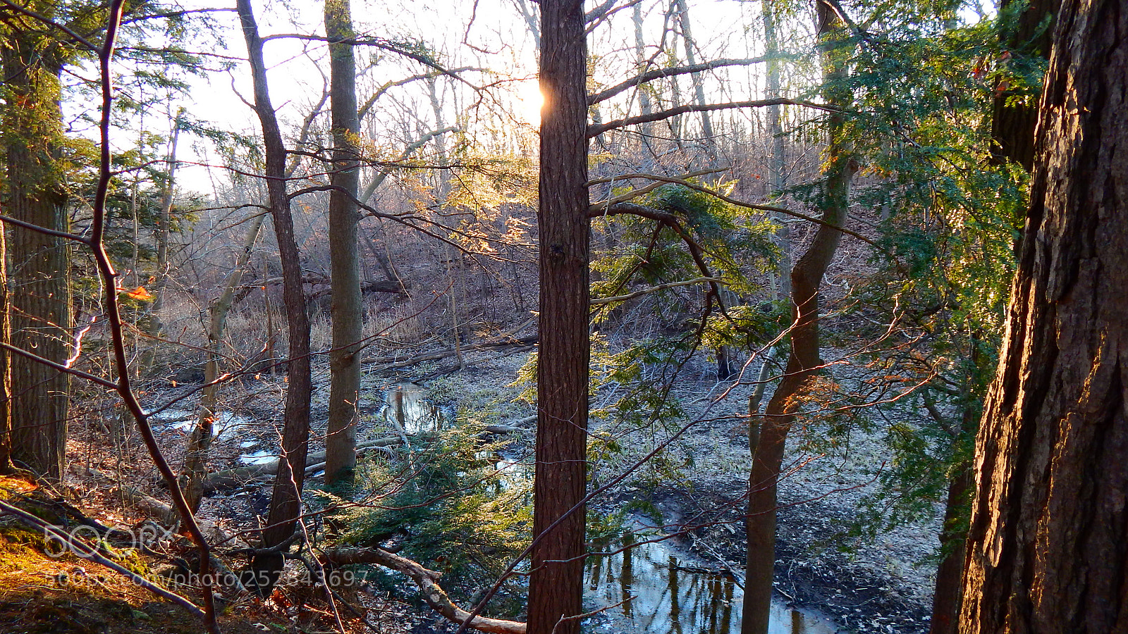 Nikon Coolpix L830 sample photo. Sunset at hiking trail photography
