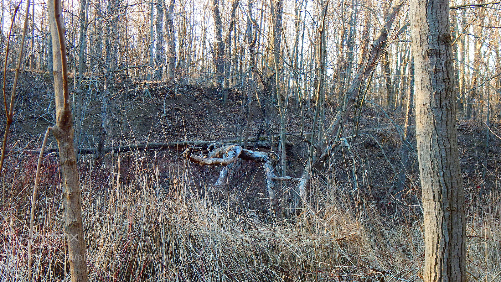 Nikon Coolpix L830 sample photo. Sunset at hiking trail photography