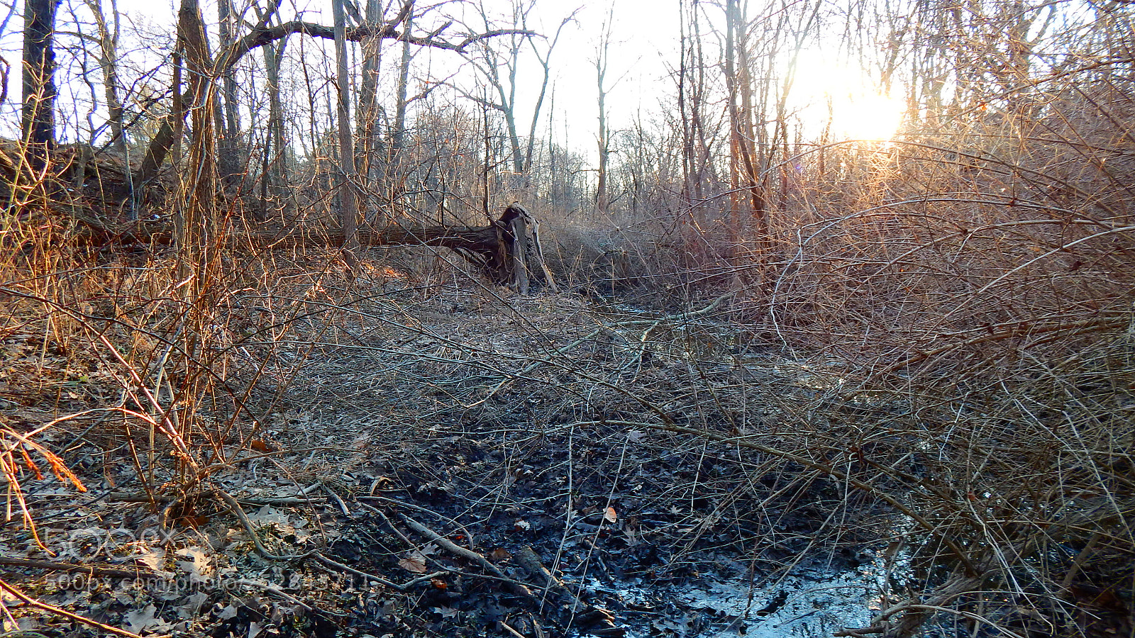 Nikon Coolpix L830 sample photo. Sunset at hiking trail photography