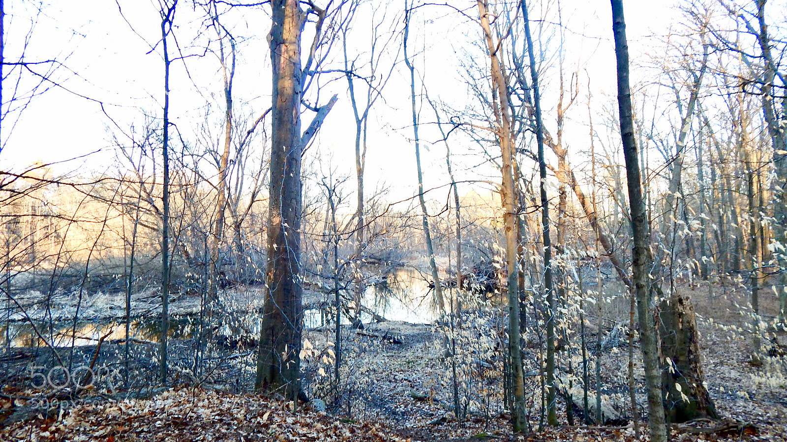 Nikon Coolpix L830 sample photo. Sunset at hiking trail photography
