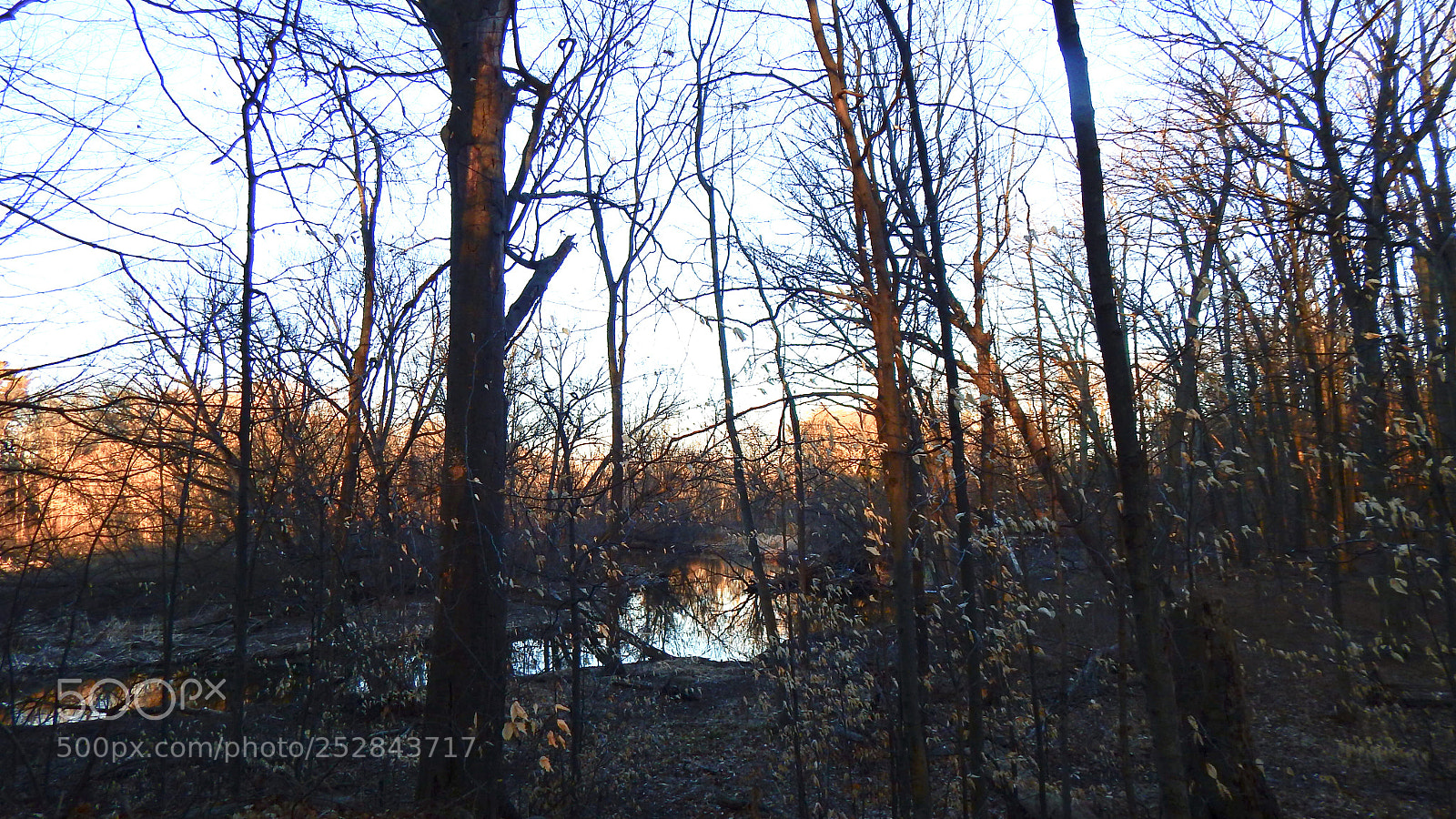 Nikon Coolpix L830 sample photo. Sunset at hiking trail photography