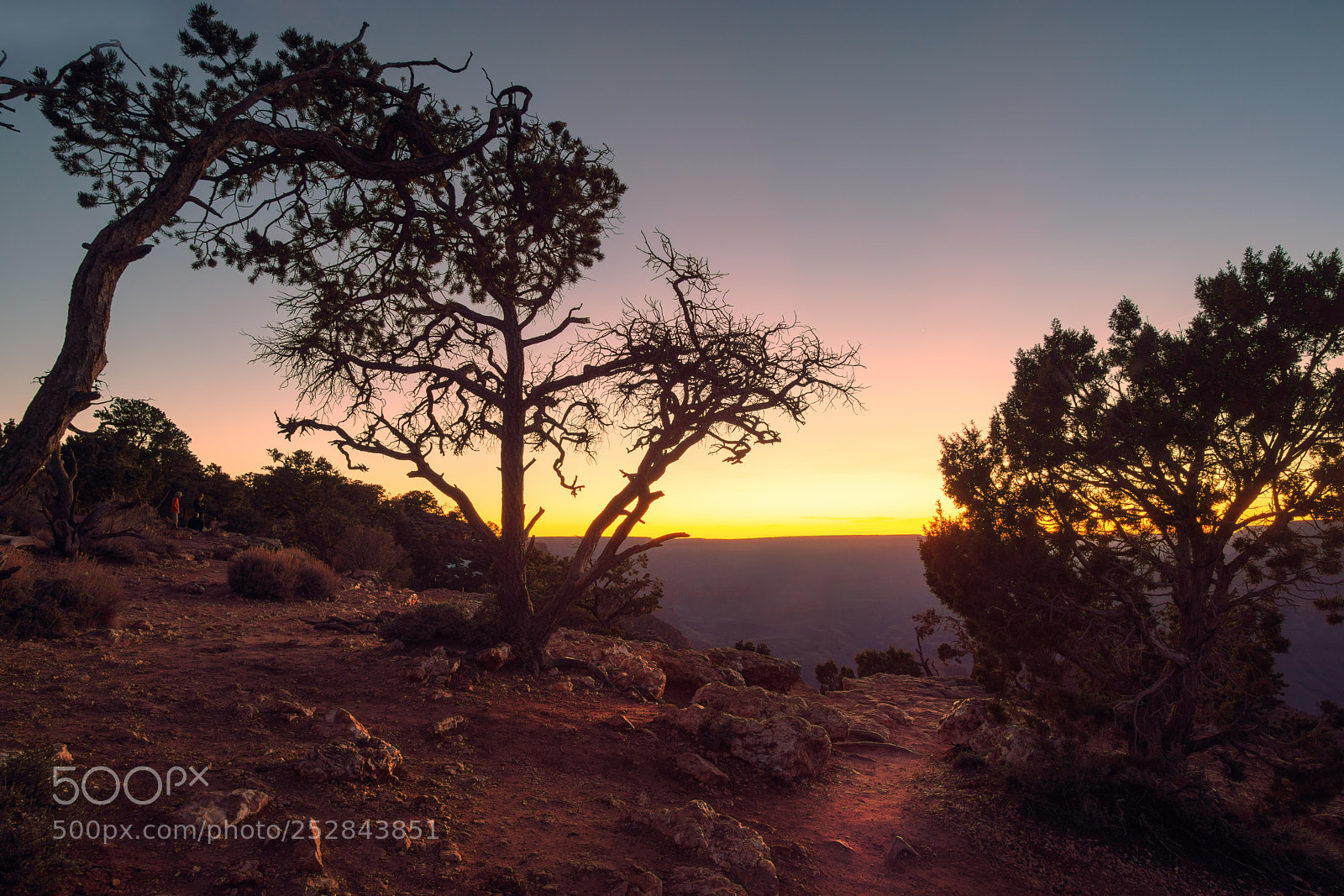 Nikon D800 sample photo. Grand canyon desert view photography