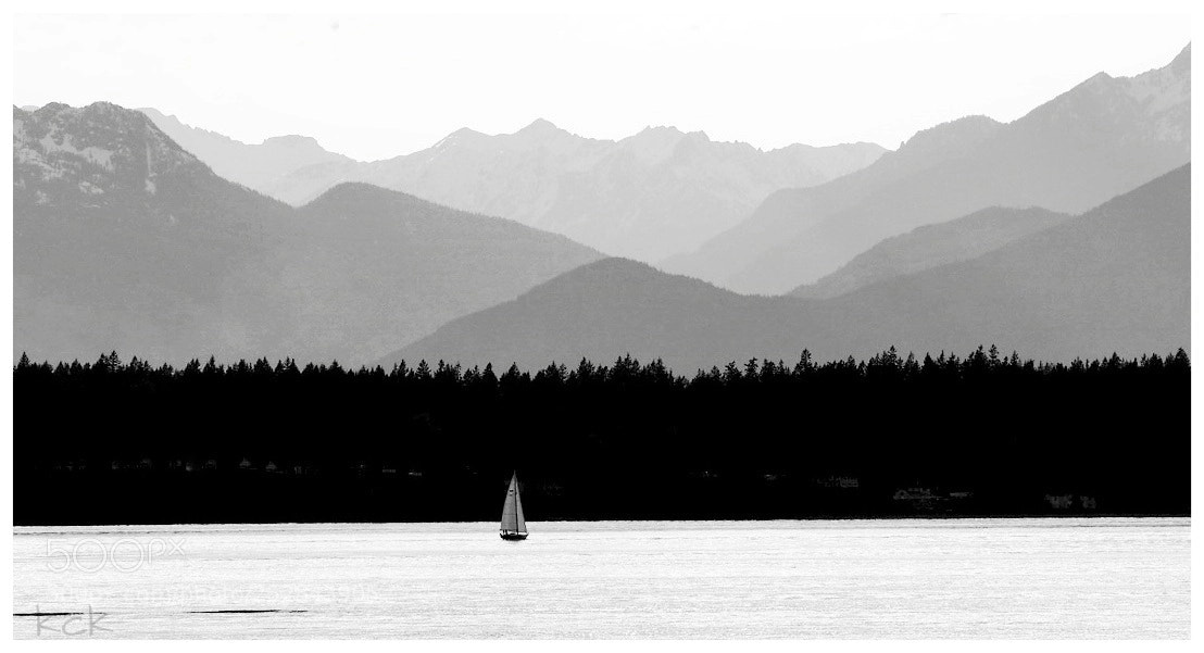 Olympus OM-D E-M10 II sample photo. Pacific northwest. photography