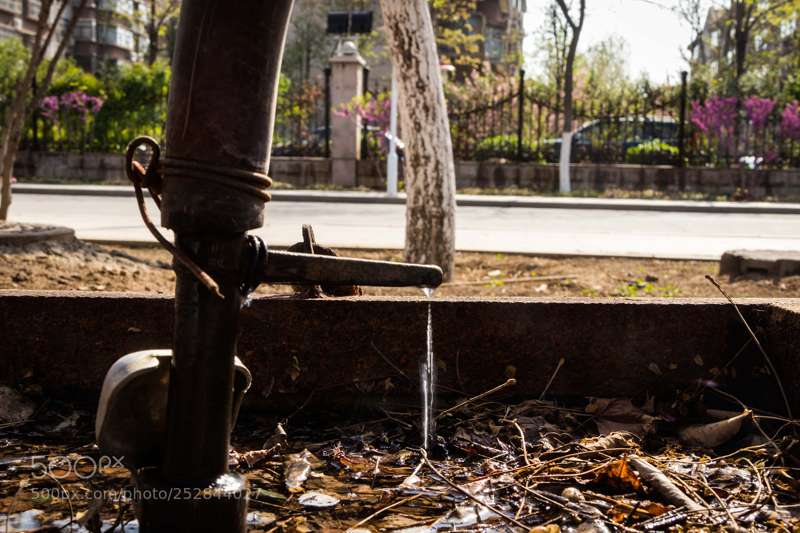 Canon EOS 77D (EOS 9000D / EOS 770D) sample photo. 1.jpg photography