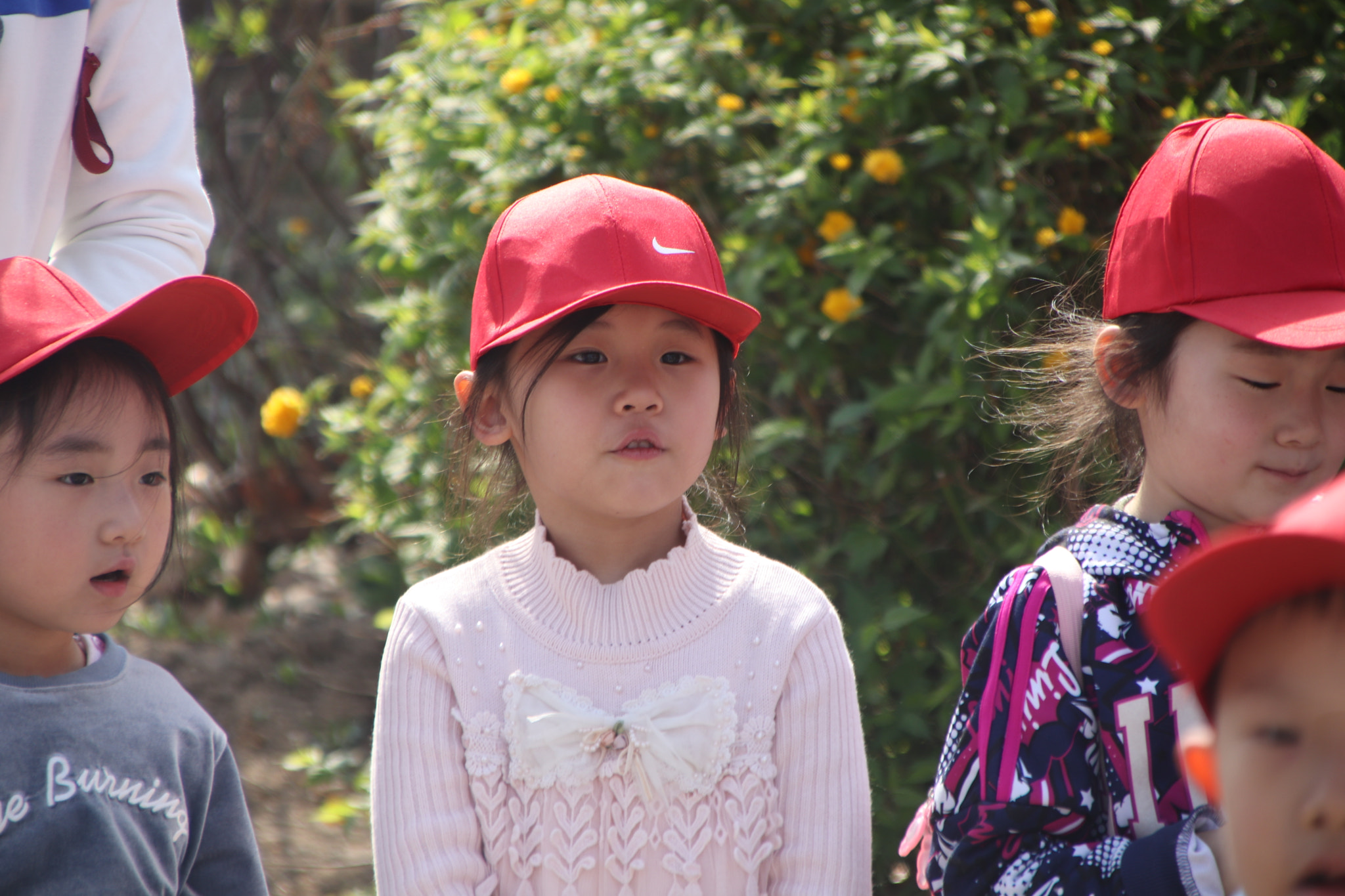 Canon EOS 77D (EOS 9000D / EOS 770D) + Canon TS-E 90mm F2.8 Tilt-Shift sample photo. Img photography