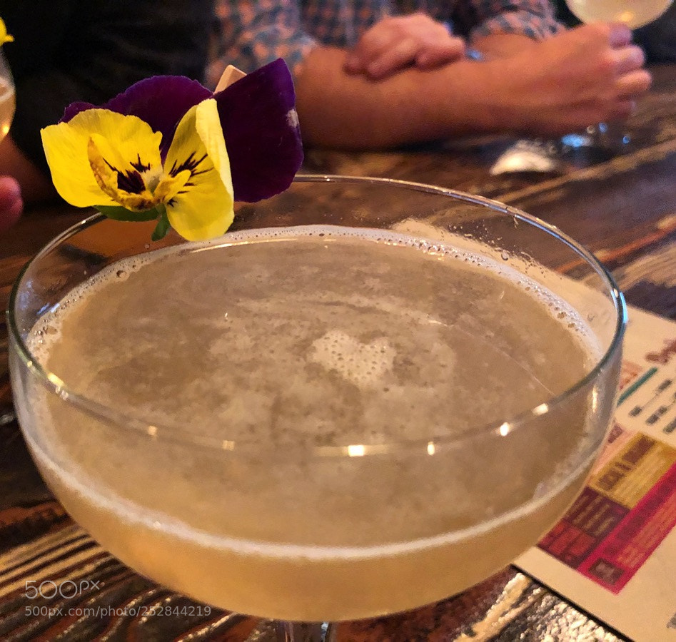 Apple iPhone X sample photo. April 04 2018 at 06:22pm photography